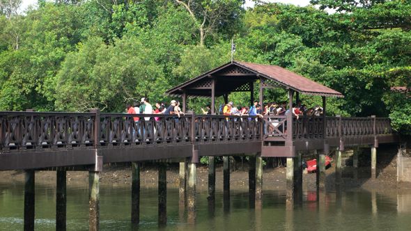 Image of Sungei Buloh
